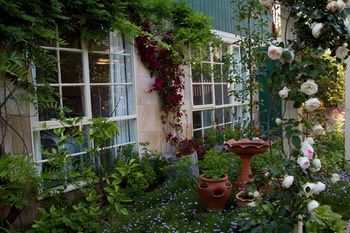 Holly Lane Mews - Accommodation in Brisbane 46