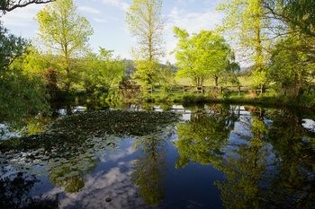 Holly Lane Mews - Accommodation in Brisbane 58
