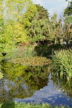 Holly Lane Mews - Accommodation in Brisbane 59