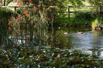 Holly Lane Mews - Accommodation in Brisbane 61
