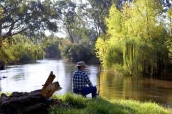 Riverglade Caravan Park - Accommodation in Brisbane 1