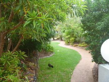 Chez Noosa Resort Motel - Accommodation in Brisbane 21