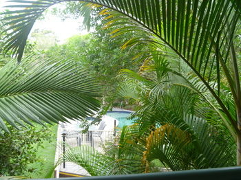 Chez Noosa Resort Motel - Accommodation in Brisbane 29
