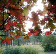 Elfin Hill Country Accommodation - Accommodation in Brisbane