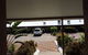 Beagle Motor Inn - thumb 34