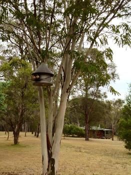 Buffs At Pokolbin - Accommodation in Brisbane 2