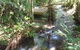 Treetops Accommodation Montville - thumb 0