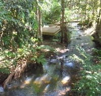 Treetops Accommodation Montville - Accommodation in Brisbane