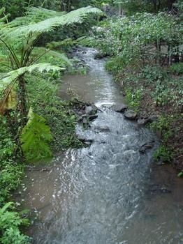 Treetops Accommodation Montville - Accommodation in Brisbane 4