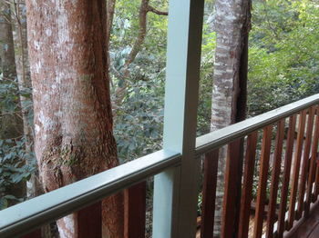 Treetops Accommodation Montville - Accommodation in Brisbane 9