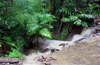 Treetops Accommodation Montville - Accommodation in Brisbane 11