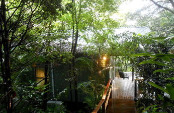 Treetops Accommodation Montville - Accommodation in Brisbane 12