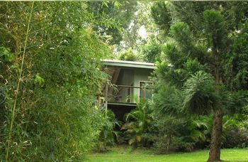 Treetops Accommodation Montville - Accommodation in Brisbane 13