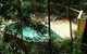 Treetops Accommodation Montville - thumb 16