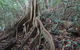 Treetops Accommodation Montville - thumb 20