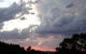 Treetops Accommodation Montville - thumb 26