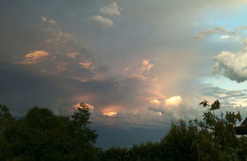 Treetops Accommodation Montville - Accommodation in Brisbane 27