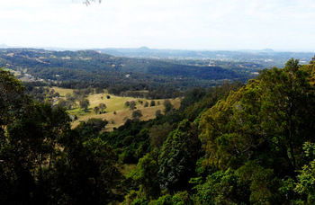 Treetops Accommodation Montville - Accommodation in Brisbane 31
