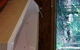 Treetops Accommodation Montville - thumb 35