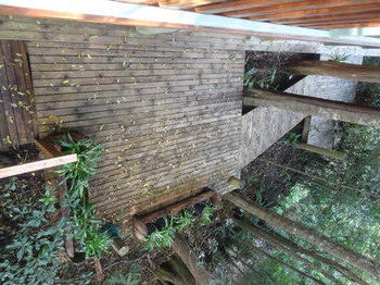 Treetops Accommodation Montville - Accommodation in Brisbane 53