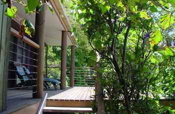 Treetops Accommodation Montville - Accommodation in Brisbane 59