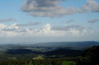 Treetops Accommodation Montville - Accommodation in Brisbane 63
