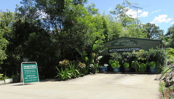 Treetops Accommodation Montville - Accommodation in Brisbane 67