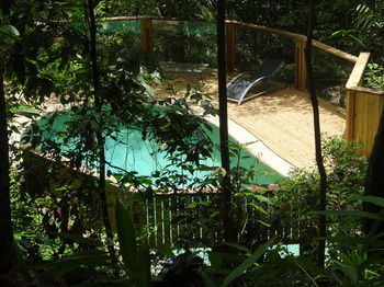 Treetops Accommodation Montville - Accommodation in Brisbane 74
