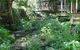 Treetops Accommodation Montville - thumb 76