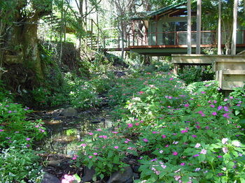 Treetops Accommodation Montville - Accommodation in Brisbane 76