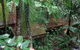 Treetops Accommodation Montville - thumb 81