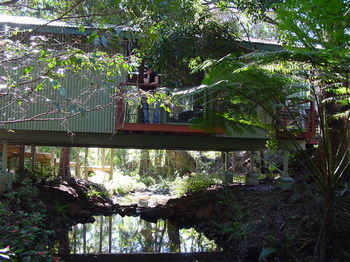Treetops Accommodation Montville - Accommodation in Brisbane 87