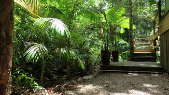 Treetops Accommodation Montville - Accommodation in Brisbane 89