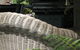 Buderim Fiesta Motel - thumb 6