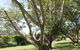 Buderim Fiesta Motel - thumb 19