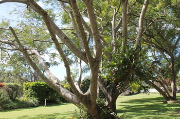 Buderim Fiesta Motel - Accommodation in Brisbane 19