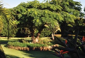 Peppertree Cottage - Accommodation in Brisbane 10
