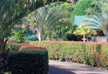 Peppertree Cottage - Accommodation in Brisbane 21