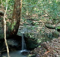 Montville Oceanview Cottages - Accommodation in Brisbane