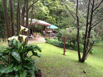 Stones Throw Cottage Bed & Breakfast - Accommodation in Brisbane 11