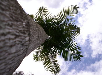 Alaya Escape - Accommodation in Brisbane 39