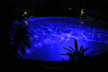 Alaya Escape - Accommodation in Brisbane 42