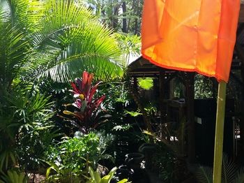 Alaya Escape - Accommodation in Brisbane 53