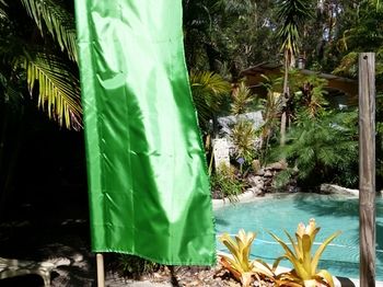 Alaya Escape - Accommodation in Brisbane 54