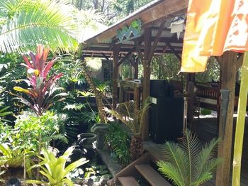 Alaya Escape - Accommodation in Brisbane 55