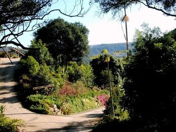 Top Of The Hill - Accommodation in Brisbane 3