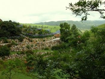Top Of The Hill - Accommodation in Brisbane 6