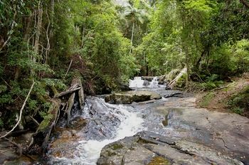 Bellthorpe Stays - Accommodation in Brisbane 18