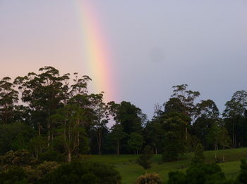 Bellthorpe Stays - Accommodation in Brisbane 19
