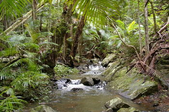 Bellthorpe Stays - Accommodation in Brisbane 25